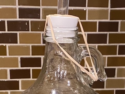 bung secured in carboy with rubber band